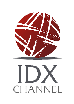 IDX logo